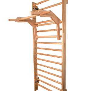 Artimex Traction et dips, article 248-5