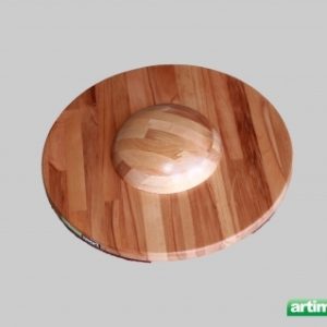 Disque d'équilibre, Ref. 305