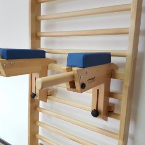 Appareil abdominaux dips, Référence 270-3