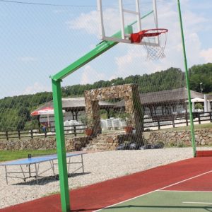 But de basketball profesionell,Ref. 105/D/profesionell